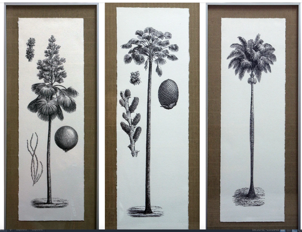 Conjunto de 3 cuadros Palmeras columna de 26×64