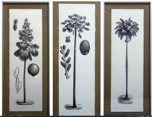 Conjunto de 3 cuadros Palmeras columna de 26×64