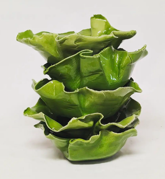 Juego de 6 boles lechuga de VIMBI VIMBI